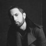 artist image Eminem feat. Nate Dogg Shake That Curtain Call: The Hits (Deluxe Edition)