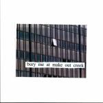album image Townie Bury Me At Makeout Creek
