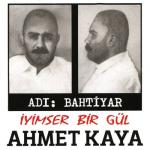 album image Adi Bahtiyar İyimser Bir Gül