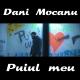 Dani Mocanu - 2018 - Puiul meu