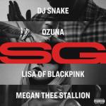 album image SG - Salsa Version SG - Single