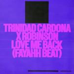 album image love me back Love Me Back (Fayahh Beat) - Single