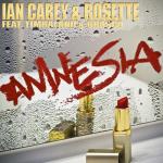 album image Amnesia (Extended Mix) Amnesia (feat. Timbaland & Brasco)