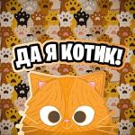 poster Кот На Стиле Да Я Котик