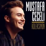 poster Gül Rengi Mustafa Ceceli Koleksiyon
